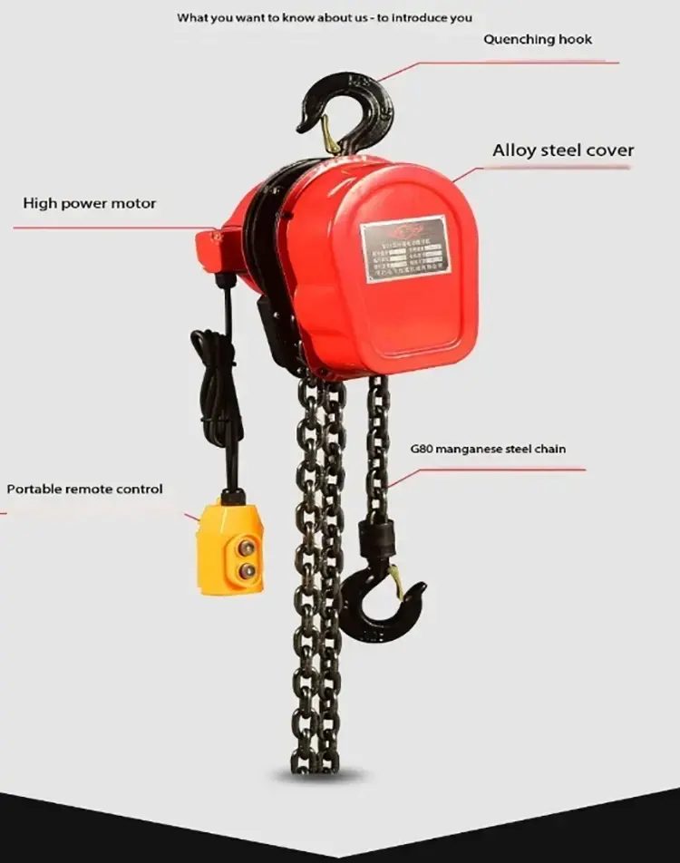 detail of Electric Chain Hoist.jpg