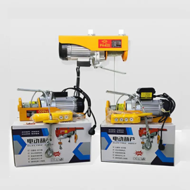 Micro Electric Hoist 200kg-1000kg 220v